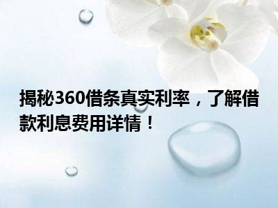 揭秘360借条真实利率，了解借款利息费用详情！