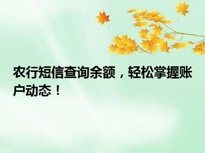 农行短信查询余额，轻松掌握账户动态！