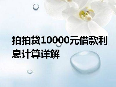 拍拍贷10000元借款利息计算详解