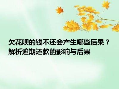 欠花呗的钱不还会产生哪些后果？解析逾期还款的影响与后果