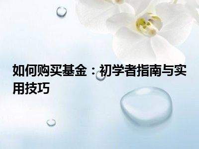 如何购买基金：初学者指南与实用技巧