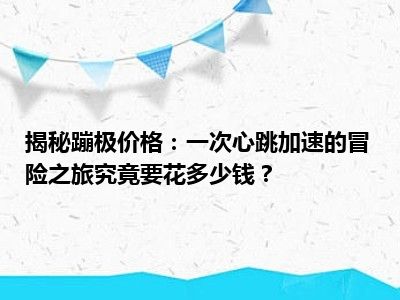 揭秘蹦极价格：一次心跳加速的冒险之旅究竟要花多少钱？