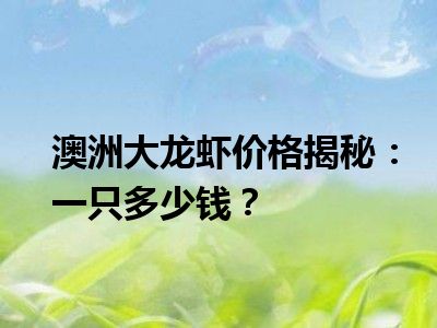 澳洲大龙虾价格揭秘：一只多少钱？