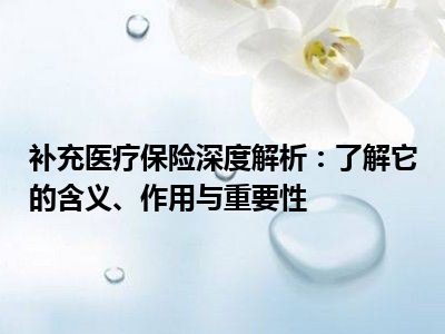 补充医疗保险深度解析：了解它的含义、作用与重要性