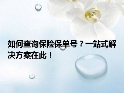 如何查询保险保单号？一站式解决方案在此！