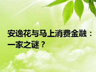 安逸花与马上消费金融：一家之谜？