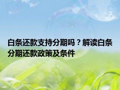 白条还款支持分期吗？解读白条分期还款政策及条件