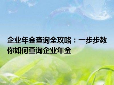 企业年金查询全攻略：一步步教你如何查询企业年金