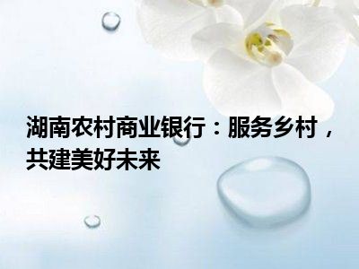 湖南农村商业银行：服务乡村，共建美好未来