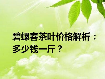 碧螺春茶叶价格解析：多少钱一斤？