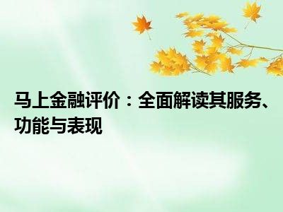 马上金融评价：全面解读其服务、功能与表现