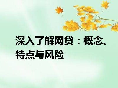 深入了解网贷：概念、特点与风险