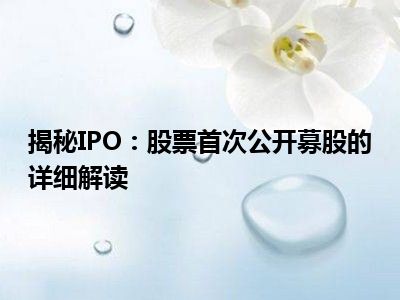 揭秘IPO：股票首次公开募股的详细解读