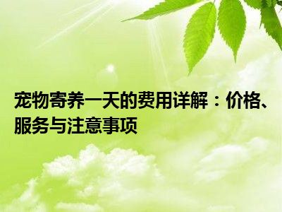 宠物寄养一天的费用详解：价格、服务与注意事项