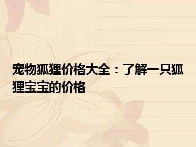 宠物狐狸价格大全：了解一只狐狸宝宝的价格