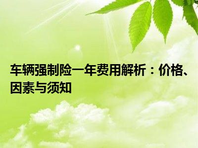 车辆强制险一年费用解析：价格、因素与须知