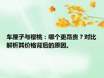 车厘子与樱桃：哪个更昂贵？对比解析其价格背后的原因。