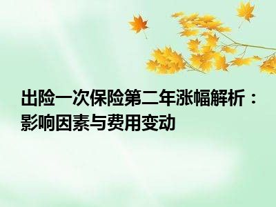 出险一次保险第二年涨幅解析：影响因素与费用变动