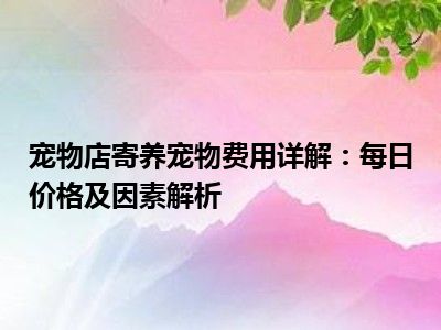 宠物店寄养宠物费用详解：每日价格及因素解析