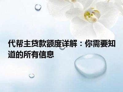 代帮主贷款额度详解：你需要知道的所有信息