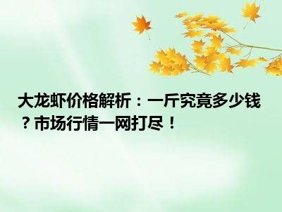 大龙虾价格解析：一斤究竟多少钱？市场行情一网打尽！