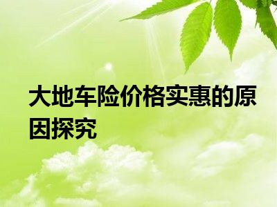 大地车险价格实惠的原因探究