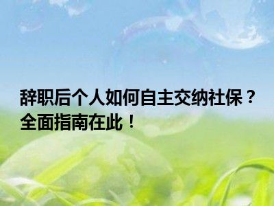 辞职后个人如何自主交纳社保？全面指南在此！