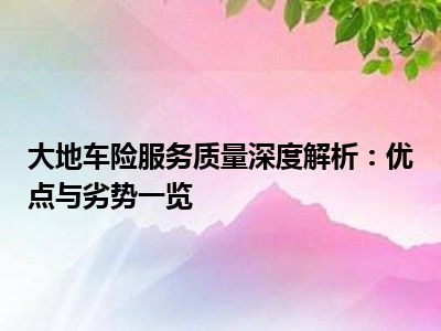 大地车险服务质量深度解析：优点与劣势一览