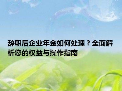 辞职后企业年金如何处理？全面解析您的权益与操作指南
