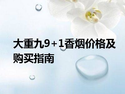 大重九9+1香烟价格及购买指南