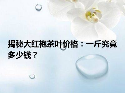 揭秘大红袍茶叶价格：一斤究竟多少钱？