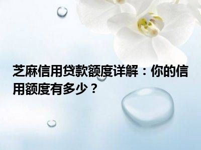 芝麻信用贷款额度详解：你的信用额度有多少？