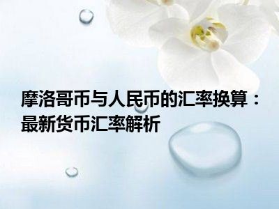摩洛哥币与人民币的汇率换算：最新货币汇率解析