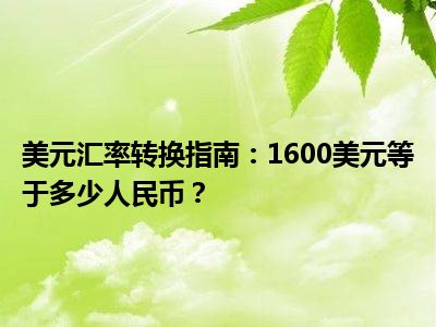 美元汇率转换指南：1600美元等于多少人民币？