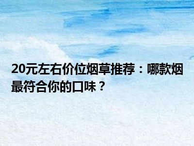 20元左右价位烟草推荐：哪款烟最符合你的口味？