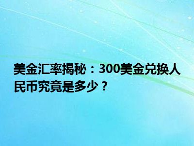 美金汇率揭秘：300美金兑换人民币究竟是多少？