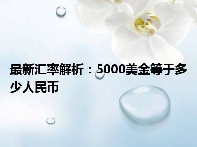 最新汇率解析：5000美金等于多少人民币