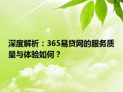 深度解析：365易贷网的服务质量与体验如何？