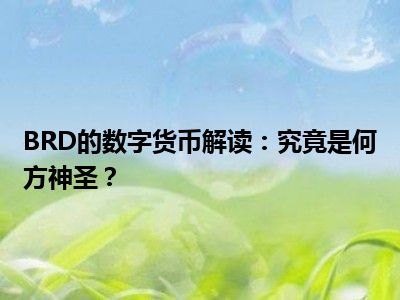 BRD的数字货币解读：究竟是何方神圣？