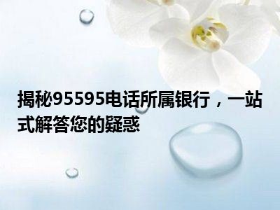 揭秘95595电话所属银行，一站式解答您的疑惑