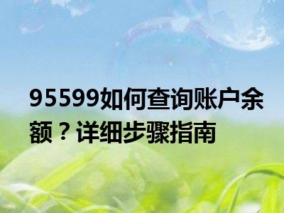 95599如何查询账户余额？详细步骤指南