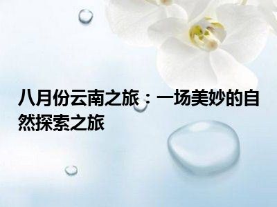八月份云南之旅：一场美妙的自然探索之旅
