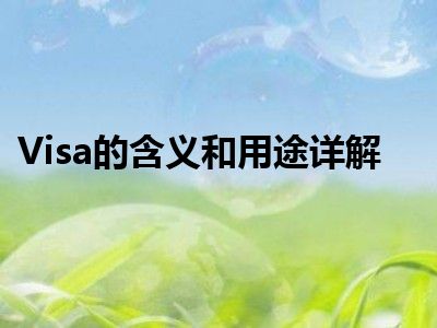Visa的含义和用途详解