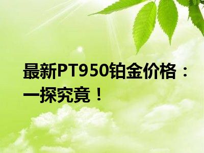 最新PT950铂金价格：一探究竟！