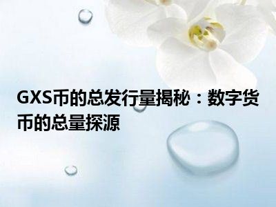 GXS币的总发行量揭秘：数字货币的总量探源