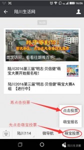 陆川明志贝倍健萌宝活动微信投票操作攻略