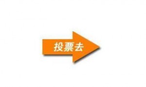 微信里的投票怎么刷票之公众号投票怎么刷票及助力怎么刷票讲解