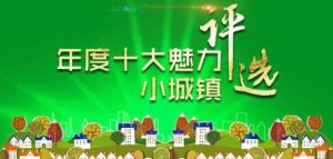 2016年度泉州市十大魅力小城镇评选活动投票流程