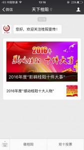 2016年感动桂阳十大人物