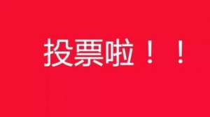 投票吧（vote8）平台有没有漏洞可以投票无限刷票呢？